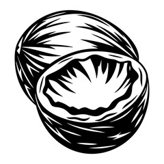 A walnut in vector format, showing the cracked open shell, very stylized