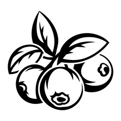 Stylized Black and White Illustration of Blueberries with Leaves and Bold Outlines