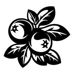 Stylized Black and White Illustration of Berries with Leaves and Abstract Shapes