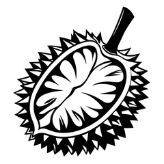 Illustration of a spiky Durian fruit cut in half, black and white