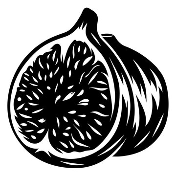 black and white fig fruit cut open clip art preview
