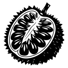 Exotic Durian Fruit Black and White Vector Illustration Cut in Half
