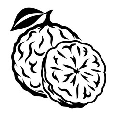 Stylized Black and White Illustration of Sugar Apple with Leaf and CrossSection
