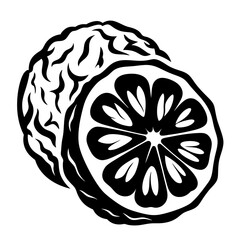 Monochrome Illustration of a Citron Slice Showing the Fruit's Interior Structure