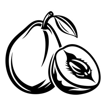 black and white pear and plum clip art preview