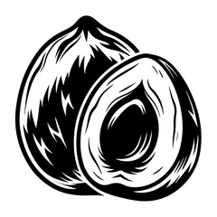 Monochrome rendering of a whole and a halved apricot, simple line art