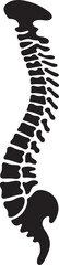 Spinal cord vector icon