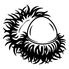 Black and white vector image of a dragon fruit with outer peel