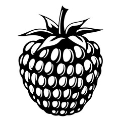 Stylized Black and White Raspberry Illustration with Leaf Detail for Graphic Design