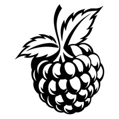 Striking Black and White Raspberry Illustration with Leafy Details