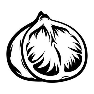 black and white fig fruit cut open clip art preview