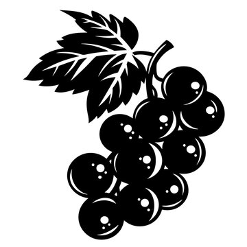 recommend clip art: Black and White Vector Illustration of a Bunch of Grapes with Leaves