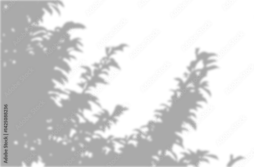 Poster realistic blurred leaf shadow effect isolated on transparent background. blur branch leaves shadow. 