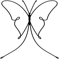 butterfly vector illustration