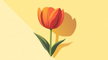 Orange Tulip with Pastel Background.