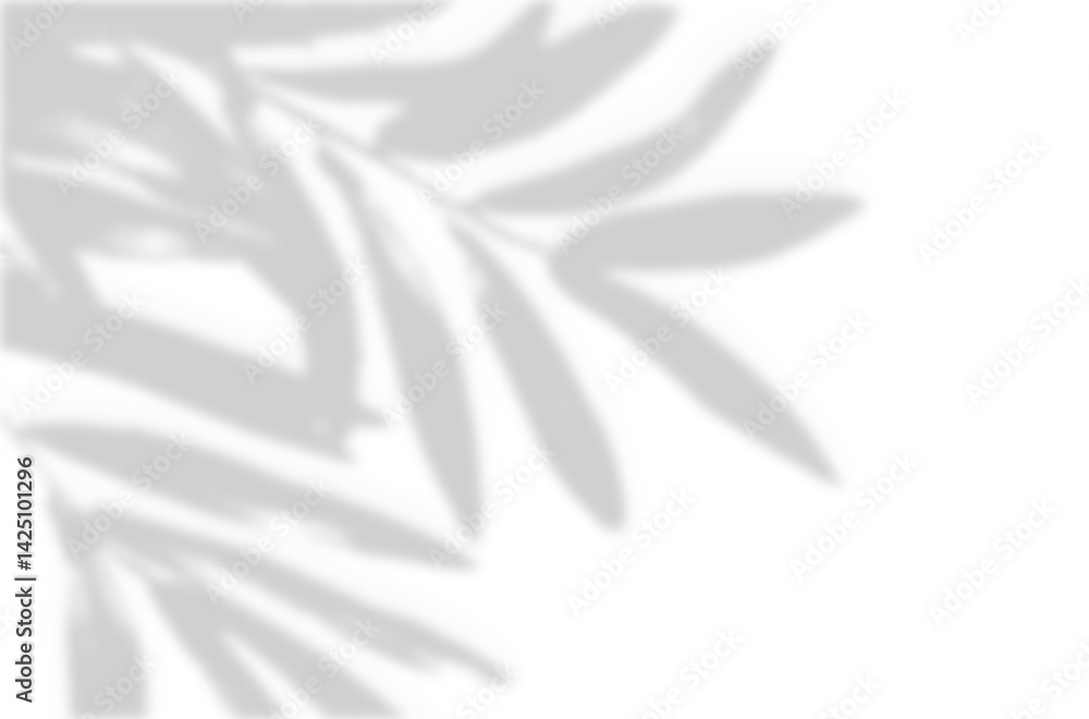 Poster realistic blurred leaf shadow effect isolated on transparent background. blur branch leaves shadow. 