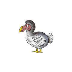 ドードー © 広瀬孝二