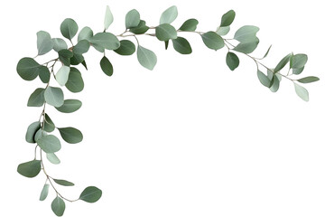 Obraz premium Isolated Green Leaf Branch Design On Transparent Background Illustration