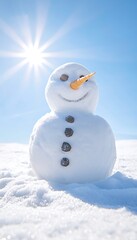 Obraz premium Snowman in Sunny Field
