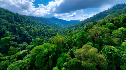 Obraz premium Lush Rainforest Aerial View, Green Canopy - Aerial Photography: The.