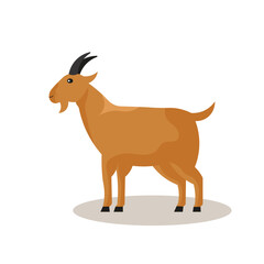 Goat vector illustration Eid al Adha Sacrifice celebration festival
