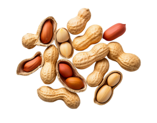 Peanut shell isolated on transparent background; top view or flat lay