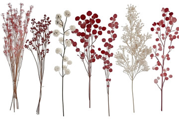 Isolated Branches With Red And White Flowers on Transparent Background