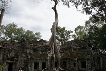 Cambodia