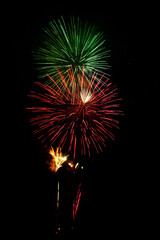 Fireworks in the night sky