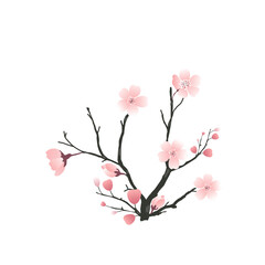 pink cherry tree