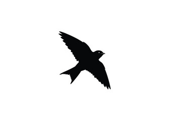 Obraz premium Martin silhouette. This image shows a black silhouette of a bird, specifically a martin, in flight with wings spread wide, symbolizing freedom and nature. Vector clipart illustration design.