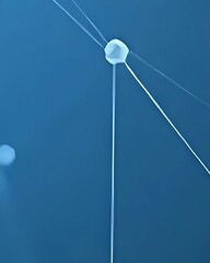 Abstract Network: Node Connections and Lines