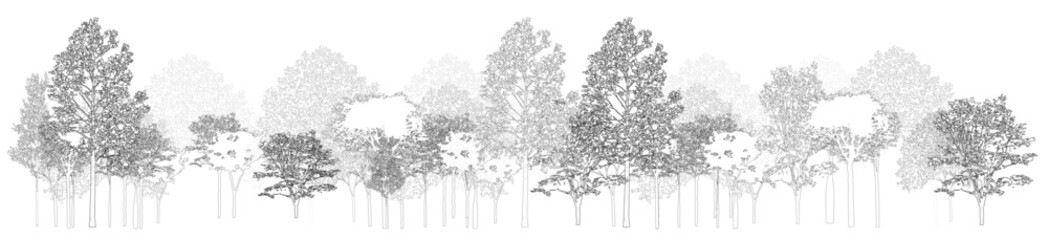 Architectural Drawings, Minimal style cad tree line drawing, Side view, set of section wetland forest outline for landscape design drawing. Vector illustration