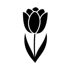 Tulip Silhouette: A striking black silhouette of a tulip, symbolizing elegance and simplicity. It is a perfect graphic for various design applications.