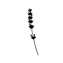Lavender Silhouette: A minimalist depiction of lavender, with its slender stem and delicate flower head. A clean, artistic representation of natural beauty.