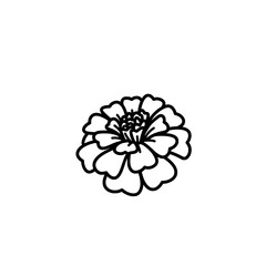 Marigold Line Art: Elegant line art drawing of a marigold flower. Simple, clean design perfect for various applications.