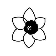 Minimalist Daffodil in Bloom: A sleek, minimalist illustration of a daffodil in full bloom, its petals elegantly defined and its heart intricately detailed.