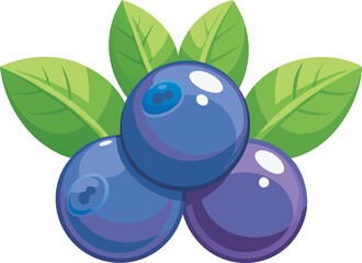 A vibrant vector art illustration showcasing beautiful huckleberry fruit, highlighting its rich color and natural, appealing design.
