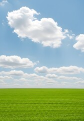 Wide green field and cloudy sky background