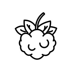 raspberry icon vector, line style icon