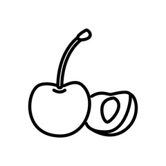 cherry icon vector, line style icon