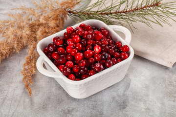 Ripe sweet sour cranberry heap