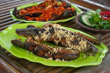 Indonesian catfish dish, captured on April 22, 2025. Crispy fried catfish served with steamed rice, spicy sambal, and fresh vegetables, offering bold and traditional flavors