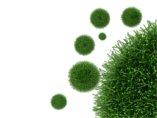 Realistic 3D Illustration of Green Spheres and Foliage Against Black Background