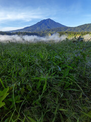 mountain landscape with green grass and fog