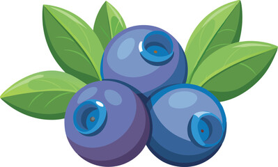 A vibrant vector illustration showcasing beautiful huckleberry fruit with rich colors, detailed leaves, and a fresh, natural aesthetic for design use.
