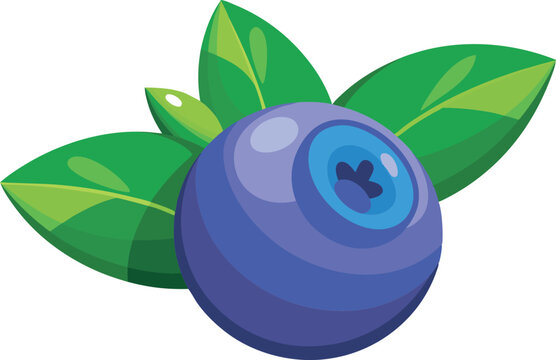 A vibrant vector illustration showcasing beautiful huckleberry fruit with rich colors, detailed leaves, and a fresh, natural aesthetic for design use.