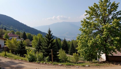Scenic mountain view with trees and distant peaks.