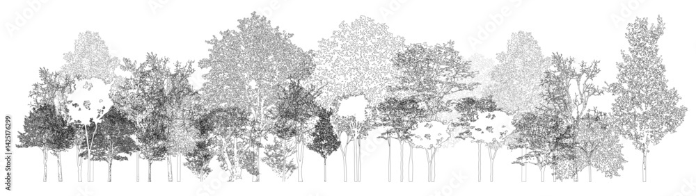Poster architectural drawings, minimal style cad tree line drawing, side view, set of section wetland fores