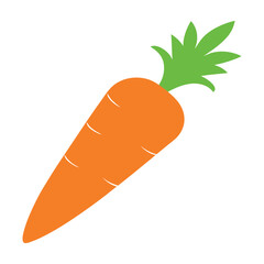 Vector illustration of fresh carrots with green leaves
